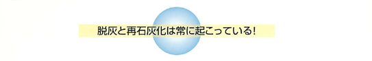 唾液の働き